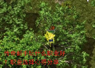 ����������ʲôְҵ�ã�ְҵѡ���ĵ÷���