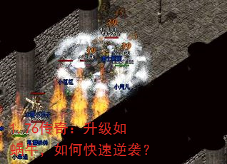 1.76���棺��������ţ����ο�����Ϯ��