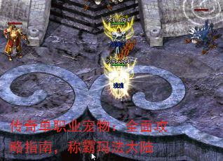 ���浥ְҵ���ȫ�湥��ָ�ϣ��ư��귨��½