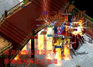 �¿�����˽����β��ܹ���Ϊ������Ѫ��