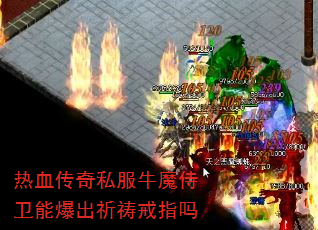 ��Ѫ����˽��ţħ�����ܱ���������ָ��