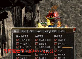 �����ʿ����͵boss�ķ���