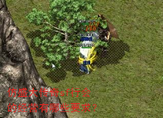 ��ʢ����sf�л�ľ�Ӫ����ЩҪ��