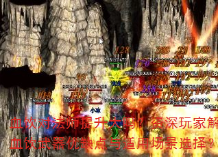 Ѫ���Է�ʦ��������������ҽ���Ѫ��������ȱ�������ó���ѡ��