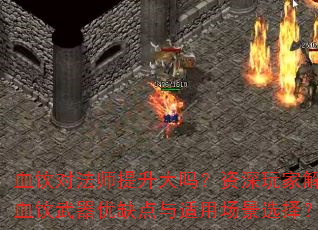 Ѫ���Է�ʦ��������������ҽ���Ѫ��������ȱ�������ó���ѡ��