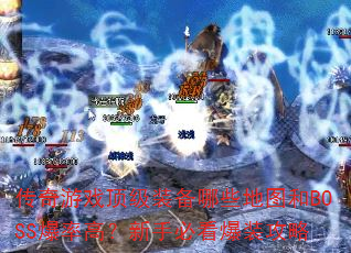 ������Ϸ����װ����Щ��ͼ��BOSS���ʸߣ����ֱؿ���װ����