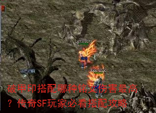 �Ƽ�ӡ�������������˺���ߣ�����SF��ұؿ����乥��