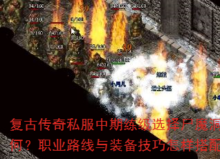 ���Ŵ���˽����������ѡ��ʬħ��Ч����Σ�ְҵ·����װ�����������������ȣ�