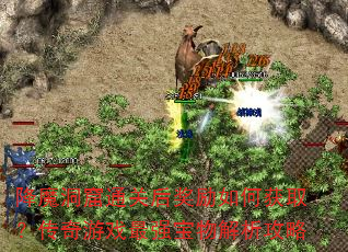 ��ħ����ͨ�غ�����λ�ȡ��������Ϸ��ǿ�����������
