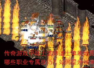 ������Ϸ��սʿ��ʦ��ʿ��ˢ��ͼʱ����Щְҵר�����ɣ��������Ч�ʣ�
