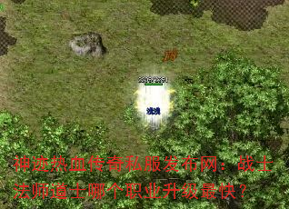 ����Ѫ����˽����������սʿ��ʦ��ʿ�ĸ�ְҵ������죿