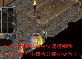 ����ڴ���˽���п��ٱ��PKװ������ЩС��������������