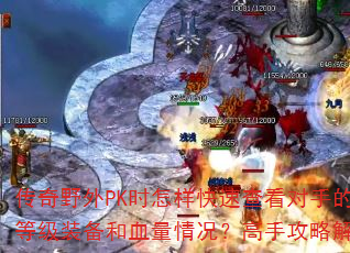 ����Ұ��PKʱ�������ٲ鿴���ֵĵȼ�װ����Ѫ����������ֹ��Խ���