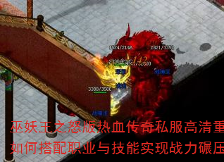 ������֮ŭ����Ѫ����˽��������������δ���ְҵ�뼼��ʵ��ս����ѹ��
