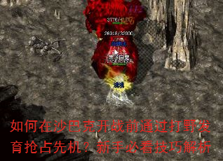 �����ɳ�Ϳ˿�սǰͨ����Ұ������ռ�Ȼ������ֱؿ����ɽ���