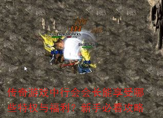 ������Ϸ���л�᳤��������Щ��Ȩ�븣�������ֱؿ�����