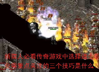 �����˱ؿ�������Ϸ��ѡ���ʿְҵ���ص��ע������������ʲô��
