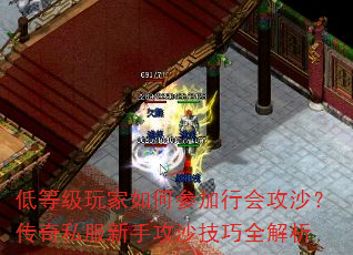 �͵ȼ������βμ��лṥɳ������˽�����ֹ�ɳ����ȫ����