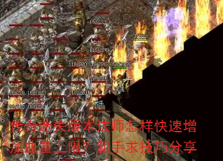 ������ʧ�汾��ʦ������������Ѫ�����ޣ��������ɷ���