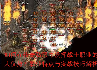 ����ڴ���˽���з���սʿְҵ��������ƣ�ְҵ�ص���ʵս���ɽ���