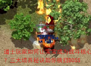 ��ʿ�������ñ�����Ϊս�����ģ����������ؾ������ɨBOSS