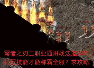 ����֮����ְҵͨ��ս������δ��似�ܲ��ܳư�ȫ��������
