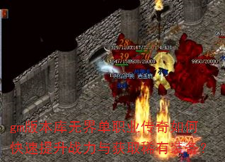 gm�汾���޽絥ְҵ������ο�������ս�����ȡϡ��װ����
