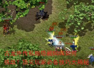 �����⴫˽������BOSS�����ս��������ұر����ɴ����