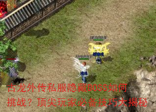 �����⴫˽������BOSS�����ս��������ұر����ɴ����