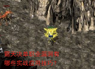 �������ְҵ©������ЩʵսӦ�ü��ɣ�