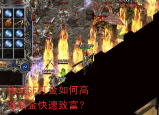 ����SF�����θ�Чˢ������¸���