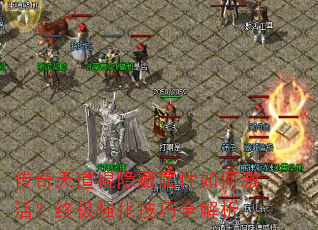 �������������������μ���ռ�ǿ������ȫ����