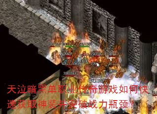 �������ڵ�ְҵ������Ϸ��ο��ٻ�ȡ��װ��ͻ��ս��ƿ����