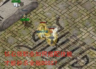 ��ʯ��ְҵ��δ��似�ܲ�����ɱȫ��BOSS��