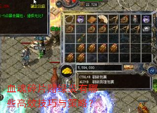 Ѫ����Ƭ����װ����Щ��Ч��������ԣ�