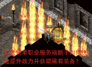 �������ְҵ�����������ο�������ս������ȡϡ��װ����