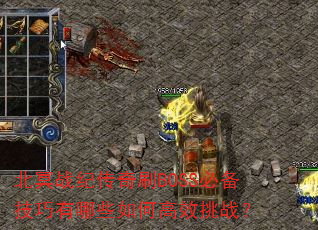 ��ڤս�ʹ���ˢBOSS�ر���������Щ��θ�Ч��ս��