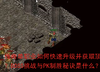 ���浥ְҵ��ο�����������ȡ����װ����BOSS��ս��PK��ʤ�ؾ���ʲô��