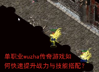 ��ְҵwuzha������Ϸ��ο�������ս���뼼�ܴ��䣿