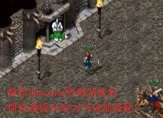 ��ְҵwuzha������Ϸ��ο�������ս���뼼�ܴ��䣿