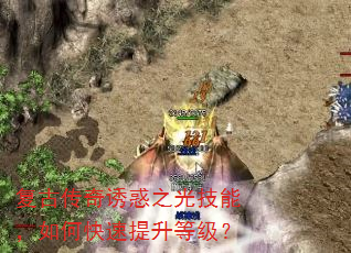 ���Ŵ����ջ�֮�⼼�ܣ���ο��������ȼ���