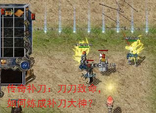 ���油��������������������ɲ�������