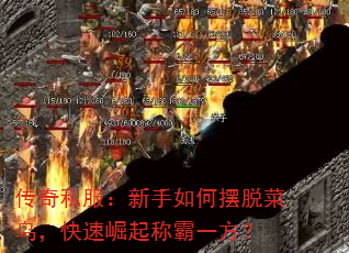 ����˽����������ΰ��Ѳ��񣬿�������ư�һ����