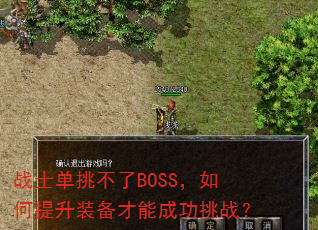 սʿ��������BOSS���������װ�����ܳɹ���ս��