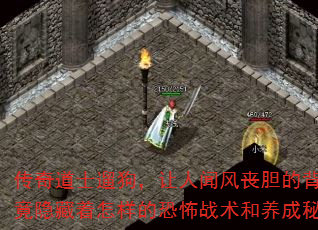 �����ʿ�޹��������ŷ�ɥ���ı��󣬾��������������Ŀֲ�ս��������������