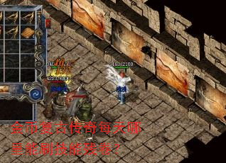 ��Ҹ��Ŵ���ÿ��������ˢ���ܲо���