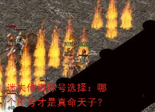 ��ʧ����ƺ�ѡ���ĸ��ƺŲ����������ӣ�