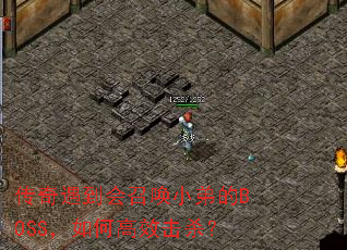 �����������ٻ�С�ܵ�BOSS����θ�Ч��ɱ��