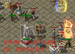 �����������ٻ�С�ܵ�BOSS����θ�Ч��ɱ��