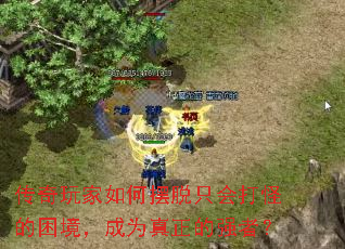 ���������ΰ���ֻ���ֵ���������Ϊ������ǿ�ߣ�
